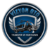 vizyon oto logo